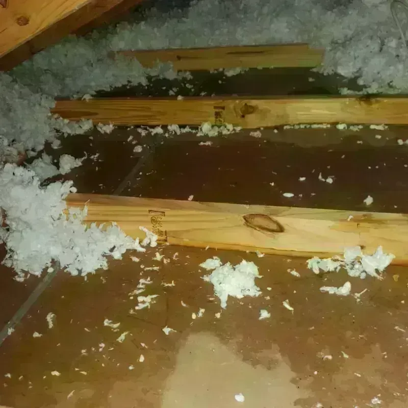 Attic Water Damage in Midpines, CA