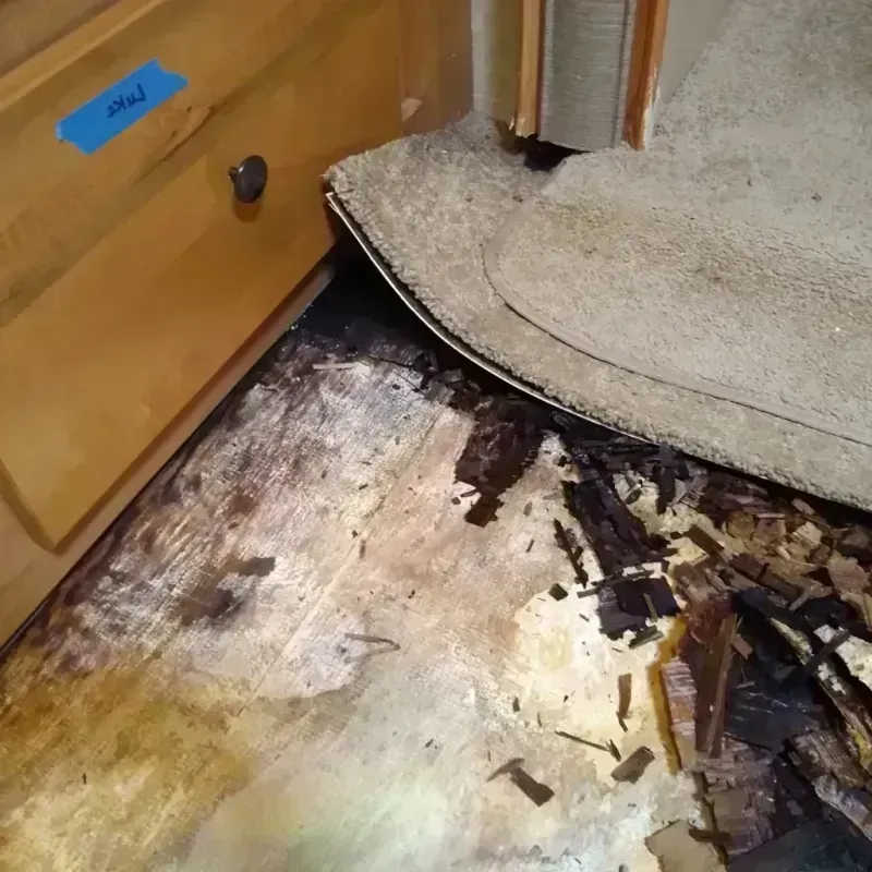 Wood Floor Water Damage in Midpines, CA